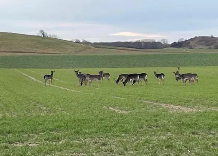 Holiday home 3 Bedroom Cozy In Bagenkop